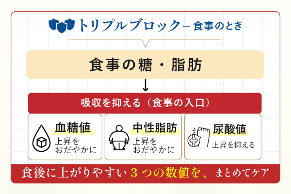 トリプルブロック図解