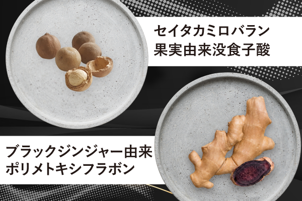 2つの機能性関与成分
