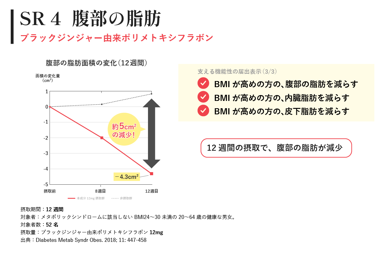 SR4 腹部の脂肪