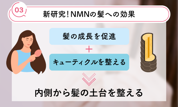 NMNと髪のツヤ