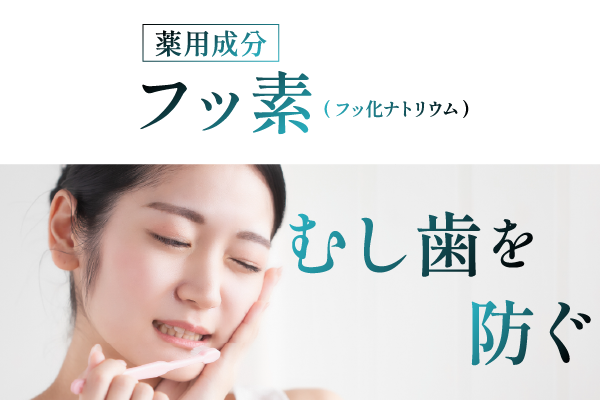 薬用成分フッ素（フッ化ナトリウム）がむし歯を防ぐ