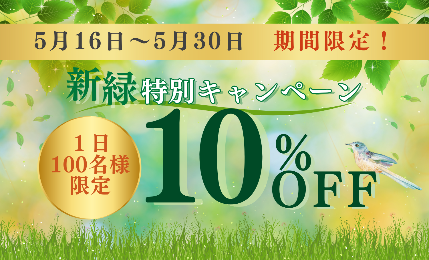 【期間限定の10%OFF】新緑特別セール