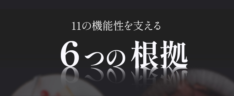 6つのSR（研究レビュー）