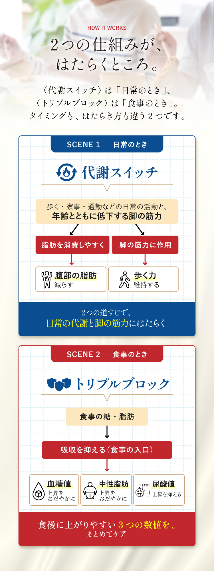 ふたつの機構が、はたらくところ。SCENE1 日常のとき〈代謝スイッチ〉、SCENE2 食事のとき〈トリプルブロック〉。はたらくタイミングも、はたらき方も違うふたつ