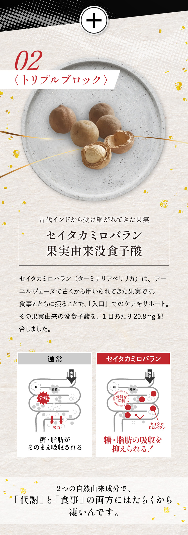 02〈トリプルブロック〉はセイタカミロバラン果実由来没食子酸。アーユルヴェーダで古くから用いられてきた果実 ターミナリアベリリカ由来、1日あたり20.8mg配合。2つの自然由来成分で、代謝と食事の両方にはたらく