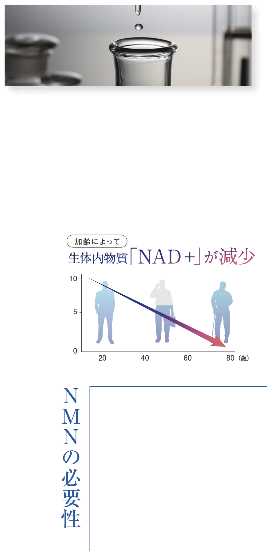 生体内物質「NAD」が減少