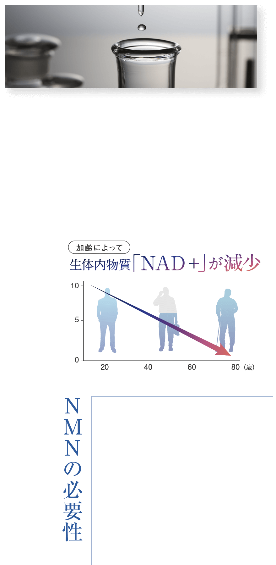 生体内物質「NAD  」が減少