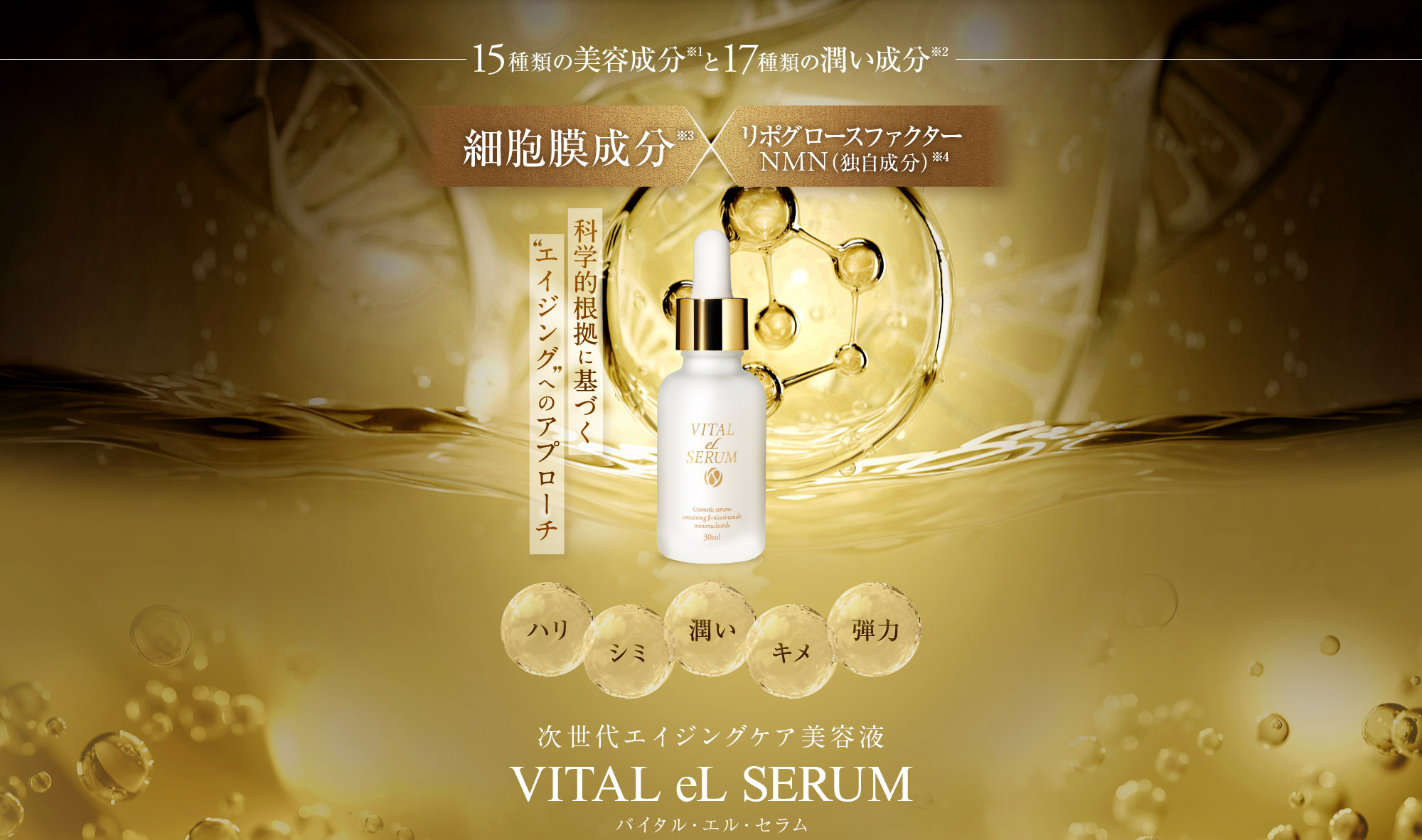 次世代エイジングケア美容液 Vital eL Serum