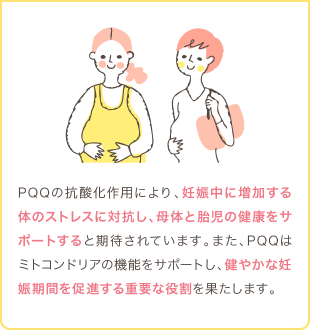 PQQの抗酸化作用により、妊娠中に増加する体のストレスに対抗し、母体と胎児の健康をサポートすると期待されています。