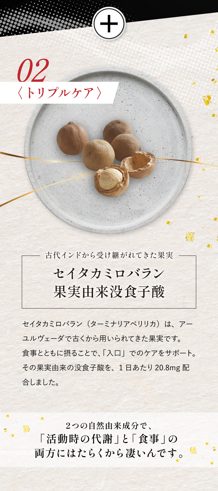 02〈トリプルブロック〉はセイタカミロバラン果実由来没食子酸。アーユルヴェーダで古くから用いられてきた果実 ターミナリアベリリカ由来、1日あたり20.8mg配合。2つの自然由来成分で、代謝と食事の両方にはたらく